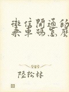 微信开通的公交乘车码怎么用