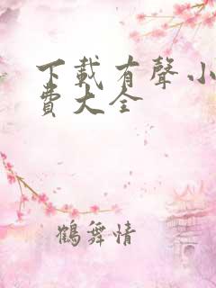下载有声小说免费大全