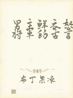 男主鲜衣怒马小将军的古言
