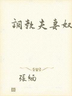 调教夫妻奴经历
