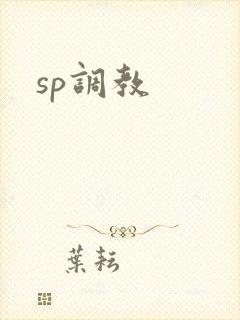 sp调教