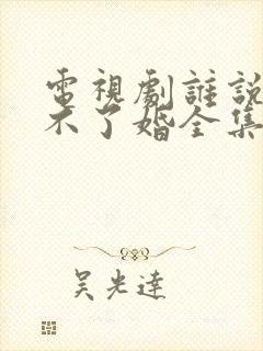 电视剧谁说我结不了婚全集免费播放