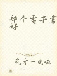 哪个电子书软件好