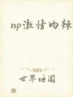 np激情肉辣文