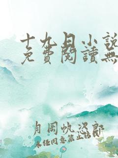 十九日小说全文免费阅读无弹窗