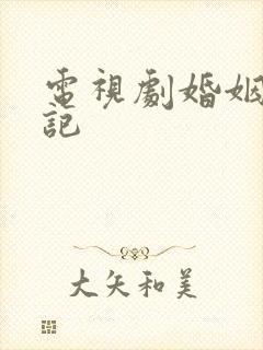 电视剧婚姻历险记