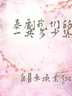 泰剧我们的秘密一共多少集