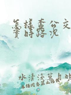 怎样查公交车的实时路况