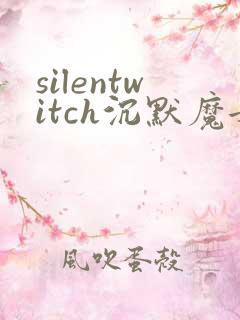 silentwitch沉默魔女的秘密动漫免费