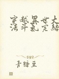穿越异世大陆魔法斗气完结小说
