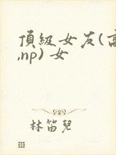 顶级女友(高h,np) 女
