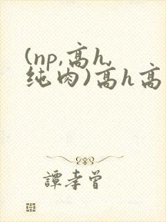 (np,高h,纯肉)高h高辣h