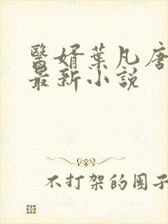 医婿叶凡唐若雪最新小说