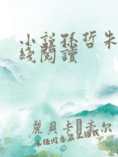 小说孙哲朱彦在线阅读