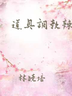 道具调教辣文