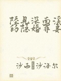 陆见深南溪陆少的隐婚罪妻 陆见深南溪陆少的隐婚罪妻