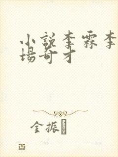 小说李霖李澜官场奇才