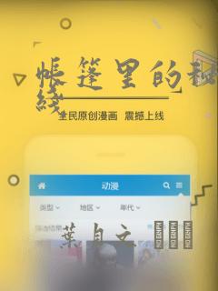 帐篷里的秘密在线：结局+番外