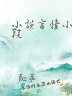 小说言情小说片段