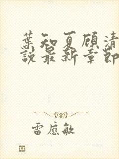 叶知夏顾清淮小说最新章节免费阅读