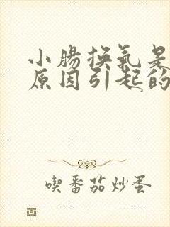 小肠换气是什么原因引起的