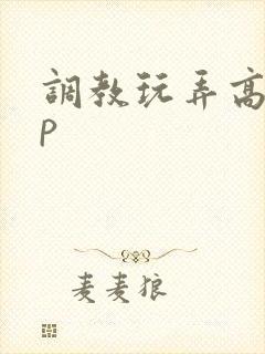 调教玩弄高hnp