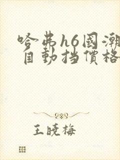 哈弗h6国潮版自动挡价格