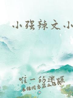 小强辣文小说网