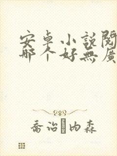 安卓小说阅读器哪个好无广告