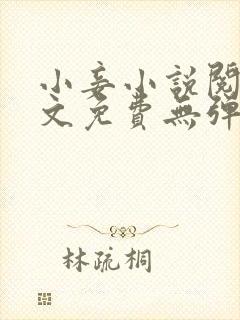 小妾小说阅读全文免费无弹窗