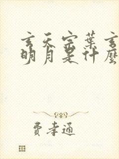玄天宗叶玄澹台明月是什么小说