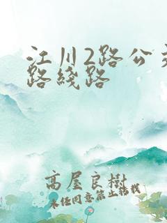 江川2路公交车路线路 江川2路公交车路线路