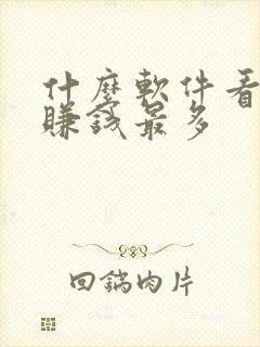 什么软件看小说赚钱最多