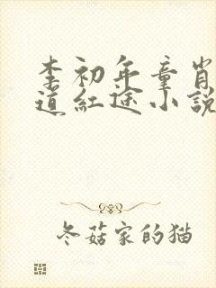李初年童肖媛正道红途小说