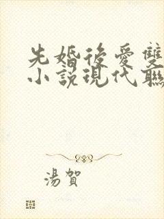 先婚后爱双男主小说现代联姻
