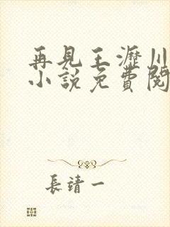再见王沥川原著小说免费阅读