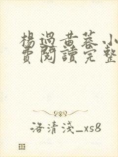 杨过黄蓉小说免费阅读完整版