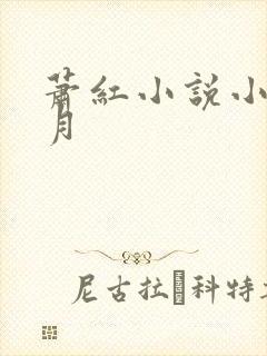 萧红小说小城三月