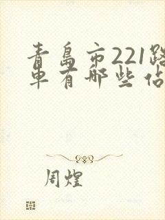 青岛市221路车有哪些站点