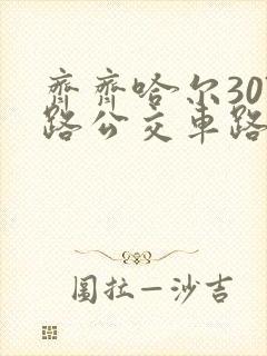 齐齐哈尔307路公交车路线