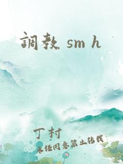 调教 sm h 调教 sm h