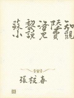 苏黎洛陆知年的小说免费观看