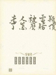 老人被电瓶车撞了怎么赔偿