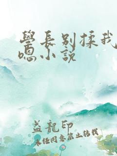 学长别揉我胸啊嗯小说