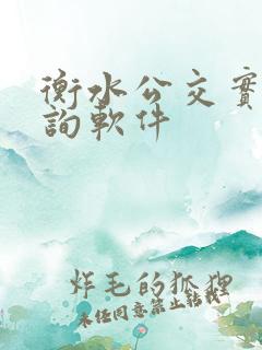 衡水公交实时查询软件 衡水公交实时查询软件
