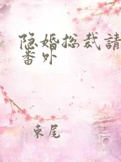隐婚总裁请签字番外