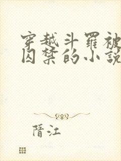 穿越斗罗被病娇囚禁的小说