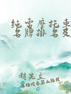 纯电摩托车十大名牌排名及价格 纯电摩托车十大名牌排名及价格