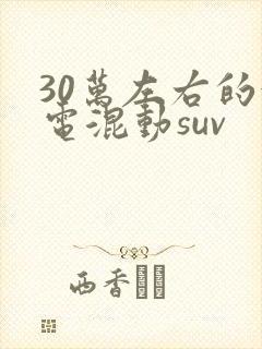 30万左右的油电混动suv