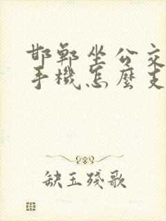 邯郸坐公交车用手机怎么支付